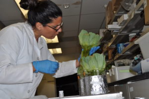 Monique in lab coat and gloves, holding a plant