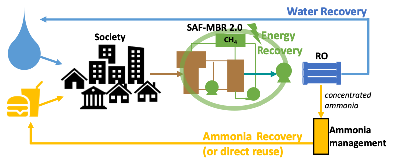Conceptual diagram of Integrated energy-water-ammonia recovery. Key elements include staged anaerobic fluidized bed membrane bioreactor (SAF-MBR), reverse osmosis (RO), and ammonia management (potentially via electrochemical methods). Courtesy of Chungheon Shin. 